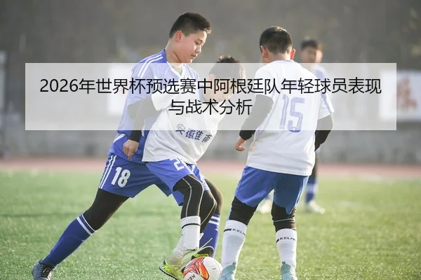 2026年世界杯预选赛中阿根廷队年轻球员表现与战术分析