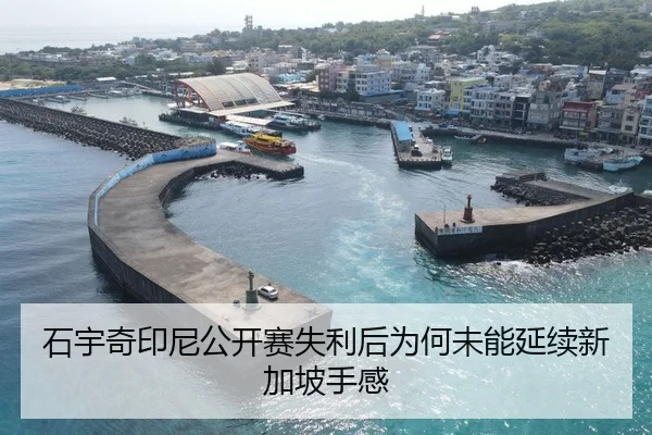 石宇奇印尼公开赛失利后为何未能延续新加坡手感