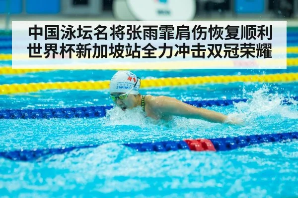 中国泳坛名将张雨霏肩伤恢复顺利世界杯新加坡站全力冲击双冠荣耀